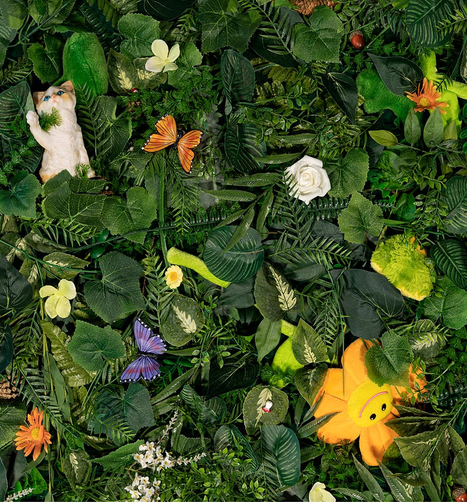 Capital naturel